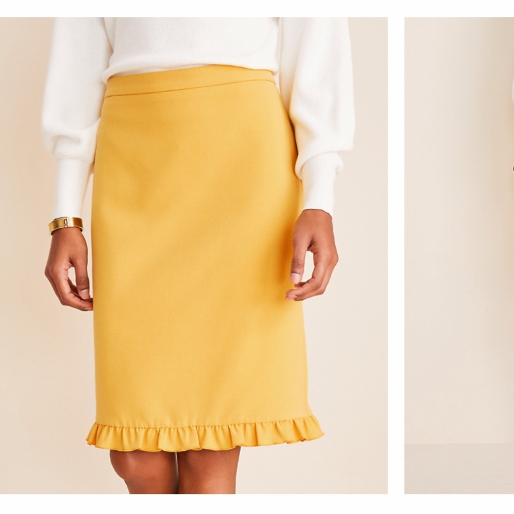 Ann Taylor skirt NWT Sz 6